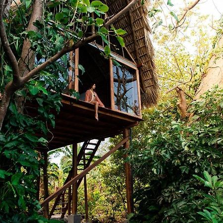 El Pital, Chocolate Paradise Balgue المظهر الخارجي الصورة